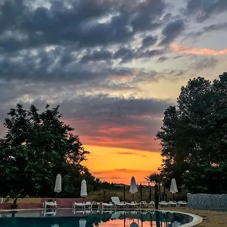 Kamenec Budget Νεσέμπαρ